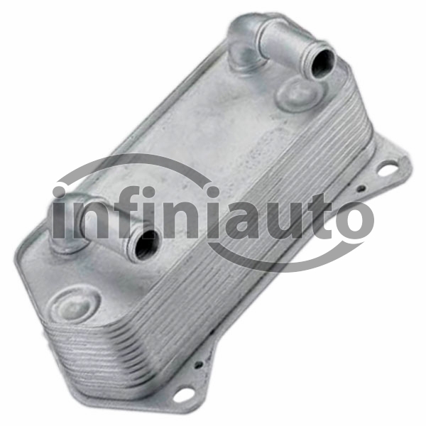 02E409061B         RADIADOR OLEO VAG A3 GOLF V-VI-PASSAT-CADDY ALTEA-TOLEDO    